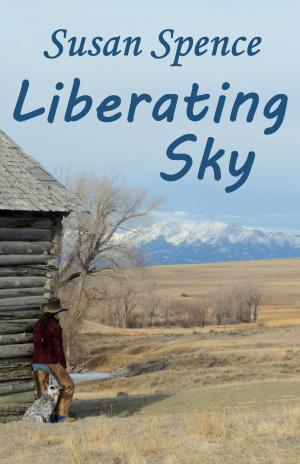 Book cover of Liberating Sky