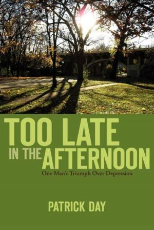 Cover of the book TOO LATE IN THE AFTERNOON by Frank N. Cook