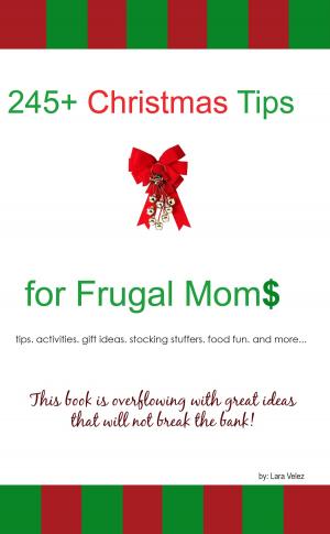 Cover of 245+ Christmas Tips for Frugal Moms