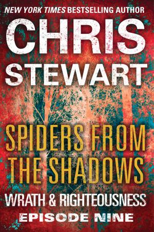 Cover of the book Spiders from the Shadows by Peter Child
