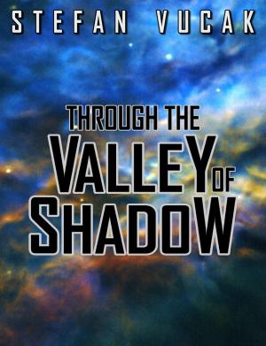 Book cover of Through the Valley of Shadow