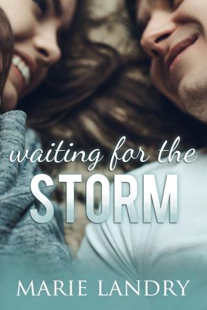 Cover of the book Waiting for the Storm by Amélie S. Duncan