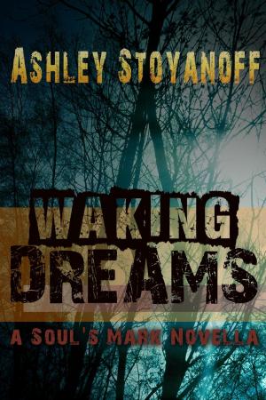 Book cover of Waking Dreams