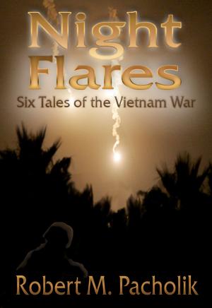 Book cover of NIGHT FLARES: Six Tales of the Vietnam War