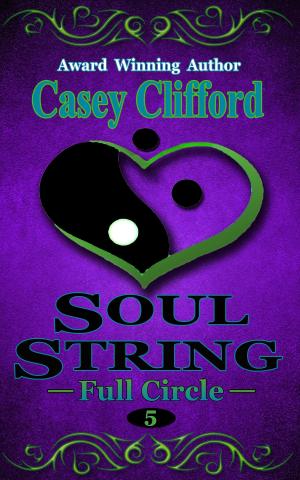 Cover of Soul String: Full Circle