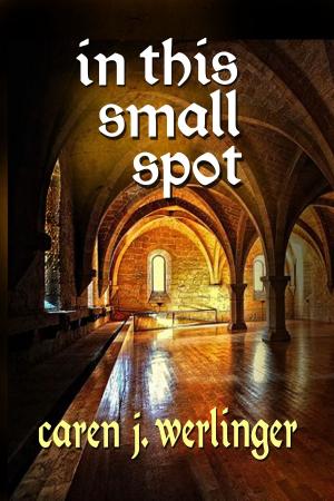 Book cover of In This Small Spot