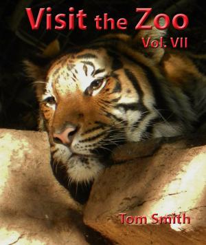 Book cover of Visit the Zoo, vol. VII