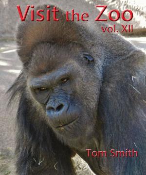 Book cover of Visit the Zoo, vol. XII