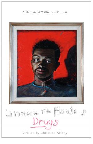 Book cover of Living in the House of Drugs