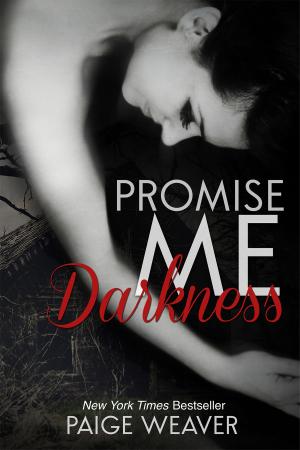 bigCover of the book Promise Me Darkness by 