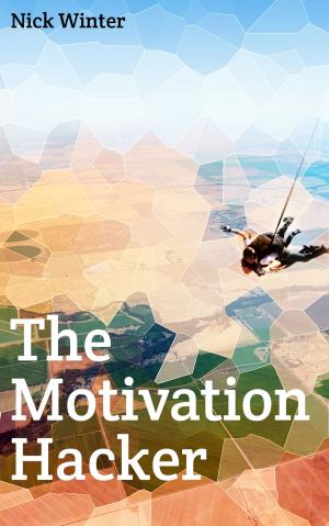 bigCover of the book The Motivation Hacker by 