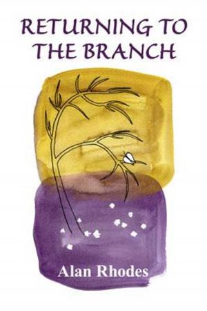 Cover of the book Returning to the Branch by Jennifer Reynolds