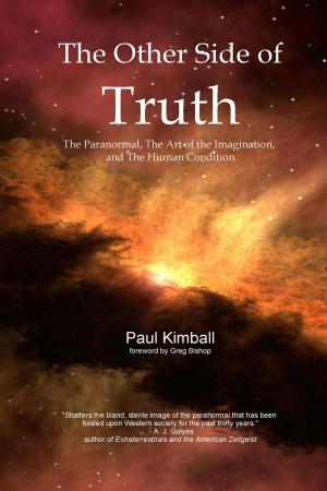 Cover of the book The Other Side of Truth by Paul Belien