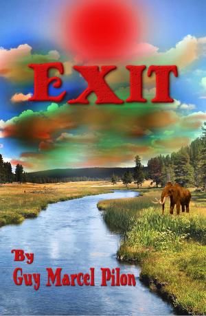 bigCover of the book Exit by 