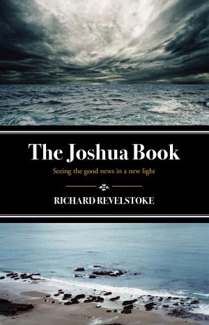 bigCover of the book The Joshua Book by 