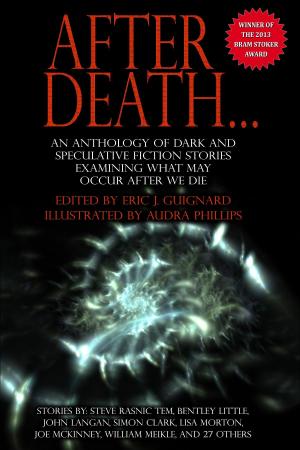 Cover of the book After Death by Mel Odom
