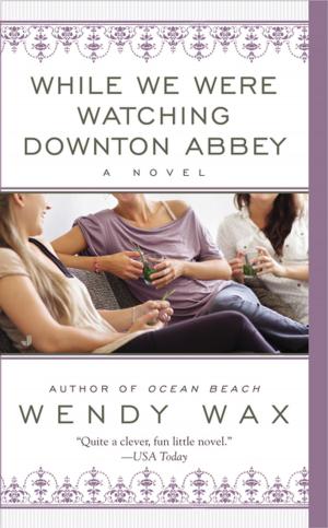 Cover of the book While We Were Watching Downton Abbey by Mathilde Thomas