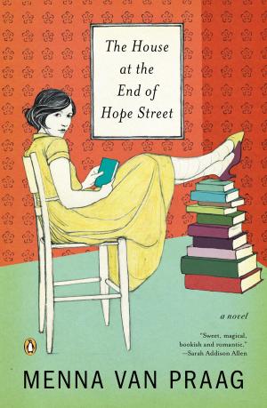 bigCover of the book The House at the End of Hope Street by 