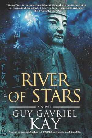 Cover of the book River of Stars by Taryn Ann Edwards