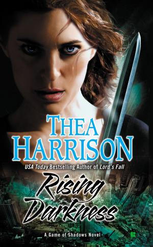 Cover of the book Rising Darkness by Erika Andersen