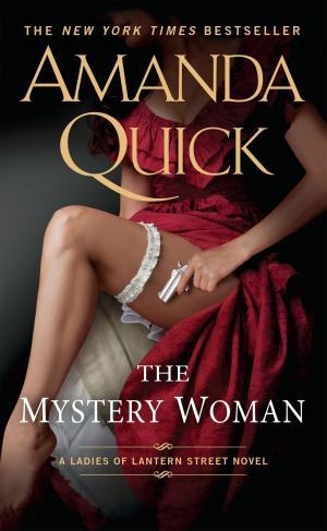 Cover of the book The Mystery Woman by Merrily Grashin