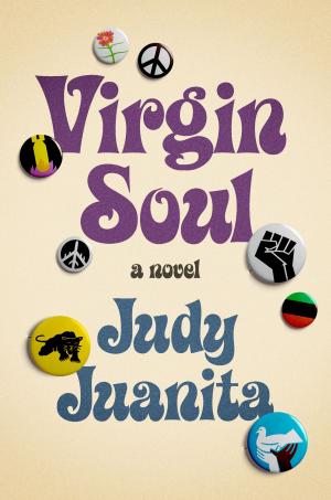 Cover of the book Virgin Soul by Harmony Raines