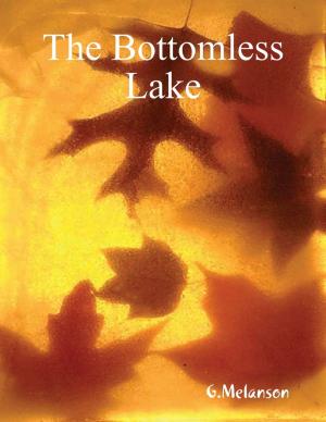 Cover of the book The Bottomless Lake by Layla Delaney