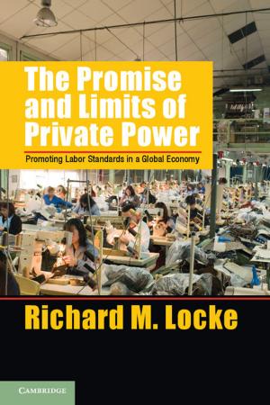 Cover of the book The Promise and Limits of Private Power by Martijn Konings