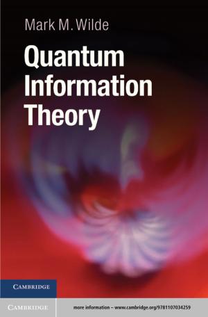 Cover of the book Quantum Information Theory by Valentina Arena