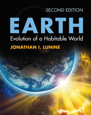 Cover of the book Earth by Shaheen Fatima, Sarit Kraus, Michael Wooldridge