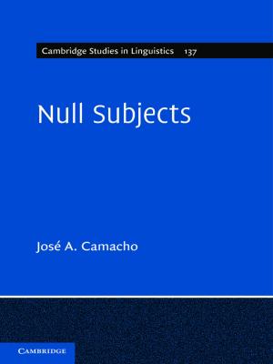 Cover of the book Null Subjects by John C. Mitchell