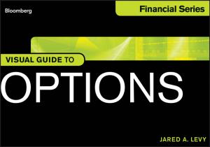 Cover of the book Visual Guide to Options by Hans Julius Schneider