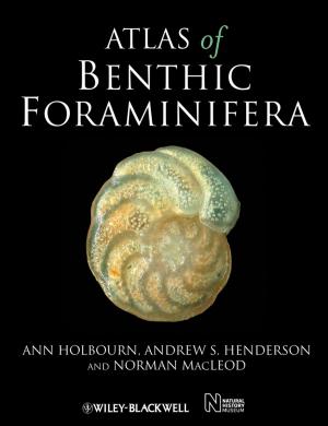 Book cover of Atlas of Benthic Foraminifera