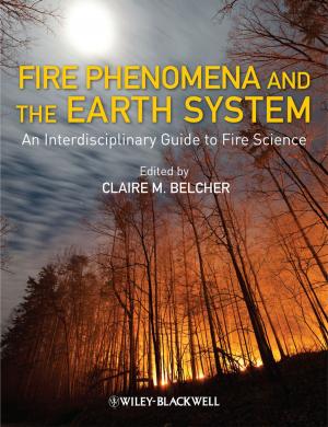 Cover of the book Fire Phenomena and the Earth System by Matthew Evangelista