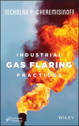 Cover of the book Industrial Gas Flaring Practices by Anthony D. Smith