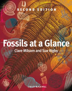 Cover of the book Fossils at a Glance by Chris Roseveare