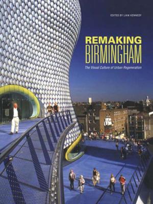 Cover of the book Remaking Birmingham by Matt Bernstein Sycamore