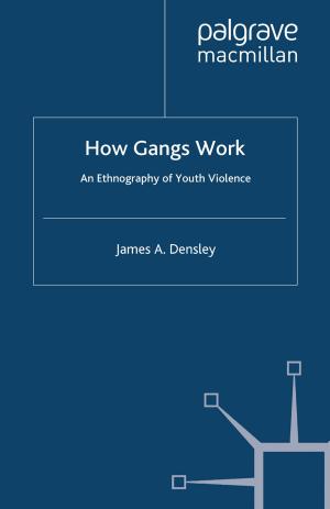 Cover of the book How Gangs Work by S. Brinkkemper, Slinger Jansen