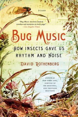 Cover of the book Bug Music by Chris Grabenstein