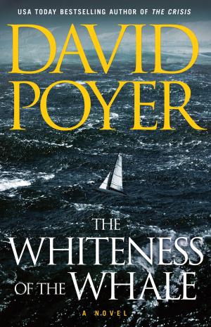 Cover of the book The Whiteness of the Whale by Steven Hammond