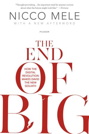 Cover of the book The End of Big by Maria Eftimiades