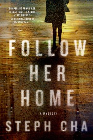 Cover of the book Follow Her Home by Saul Black