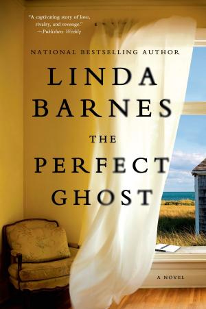 Book cover of The Perfect Ghost