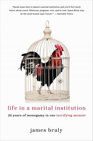 Cover of the book Life in a Marital Institution by Mari Jungstedt