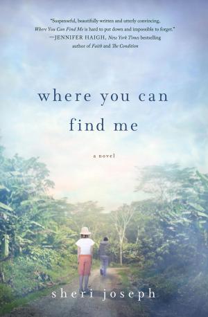 Cover of the book Where You Can Find Me by Mitchell Bornstein