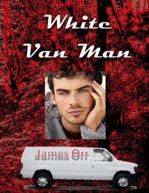 Cover of the book White Van Man by Kimberly Vogel