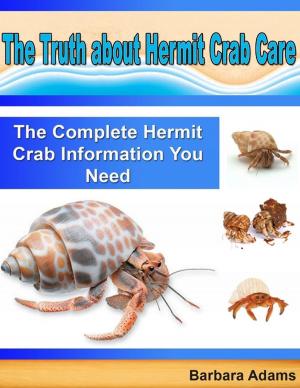 Book cover of The Truth About Hermit Crab Care: The Complete Hermit Crab Information You Need