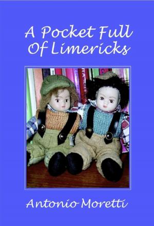 Cover of the book A Pocket Full of Limericks by Dan Lirette