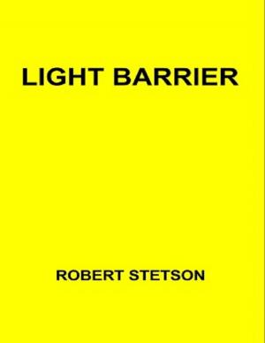 Cover of the book Light Barrier by Anna Kringle