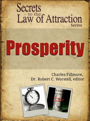 Cover of Secrets to the Law of Attraction: Prosperity